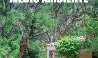 D�A MUNDIAL DEL MEDIO AMBIENTE